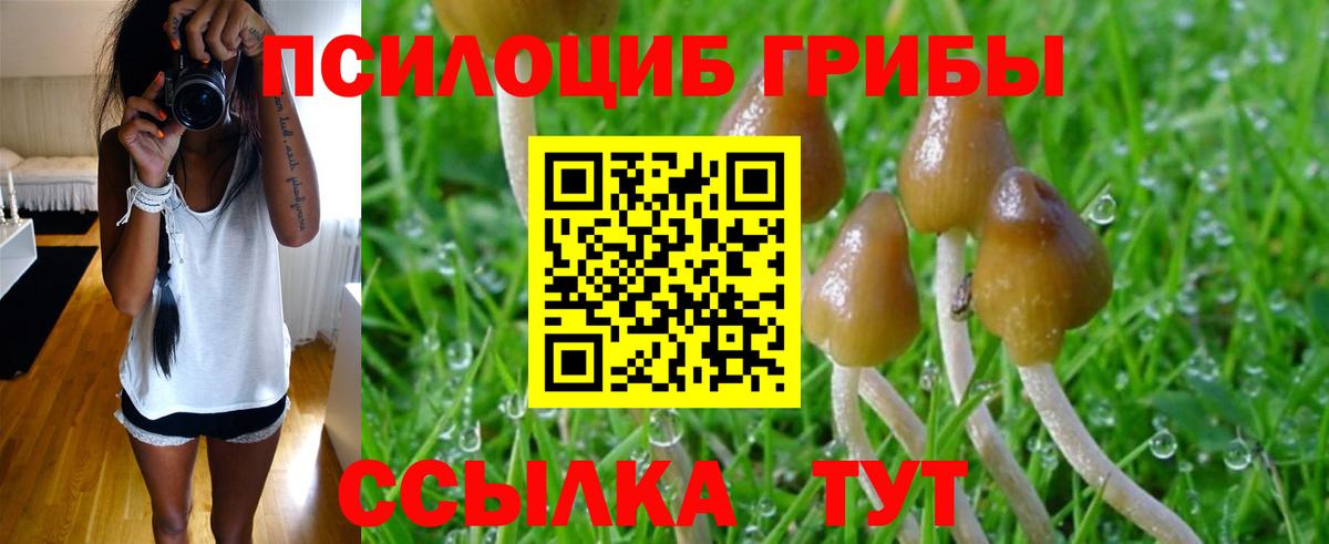 Галлюциногенные грибы GOLDEN TEACHER Моршанск