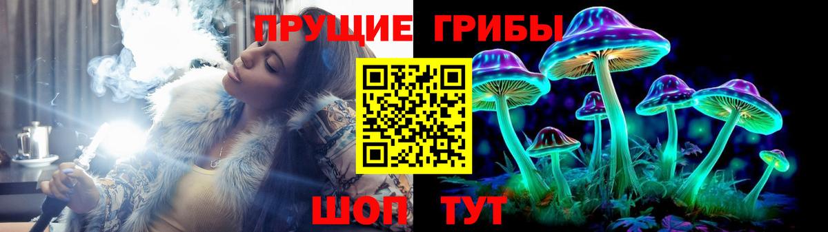Моршанск  Псилоцибиновые грибы Psilocybine cubensis  Псилоцибиновые грибы MAGIC MUSHROOMS  Вход с VPN 